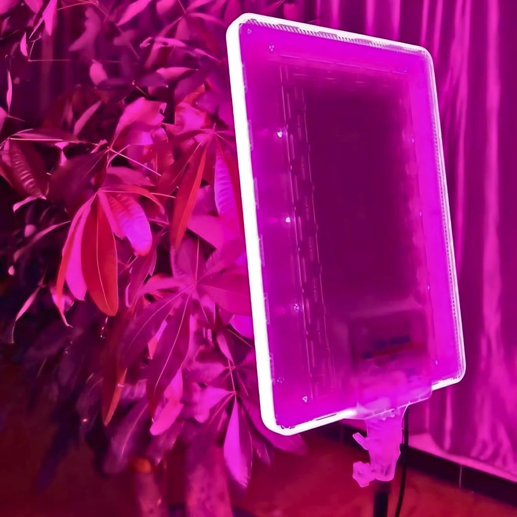 PM-48 RGB photography fill light at PhoneHub Lebanon