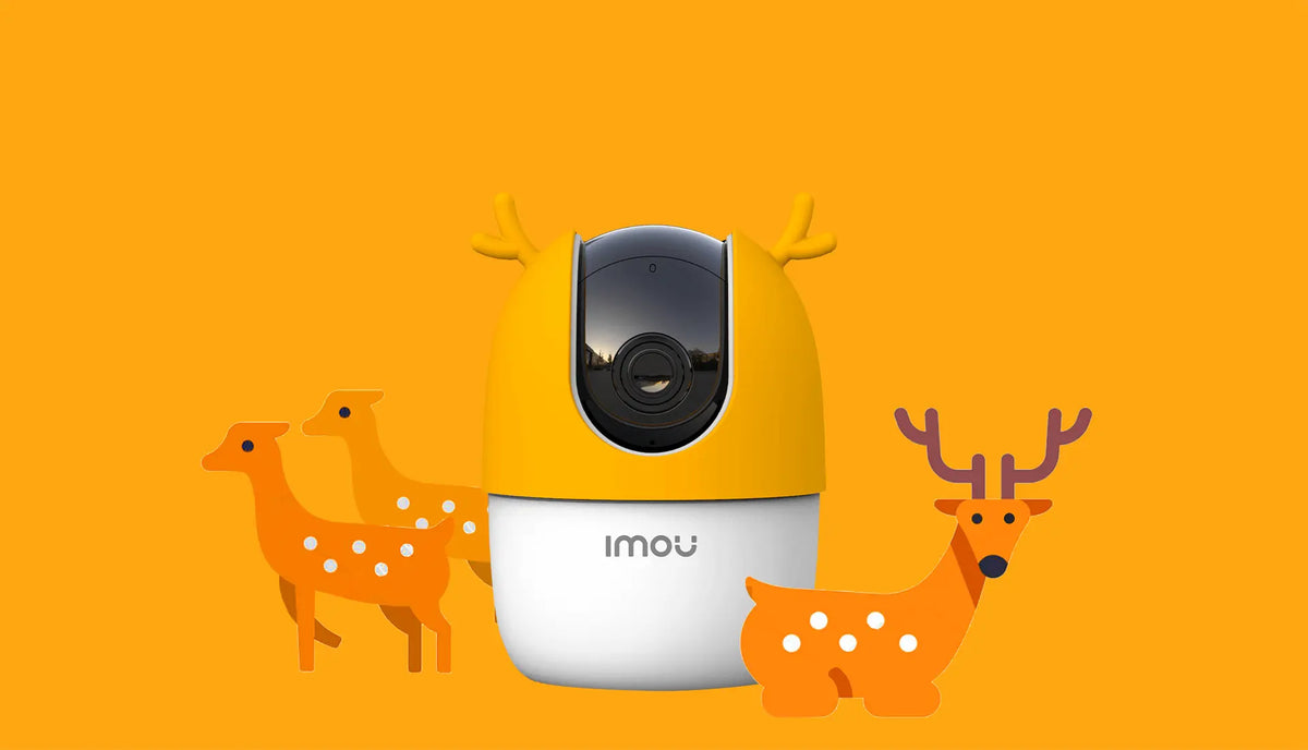 IMOU Ranger 2 app control and WiFi setup screen