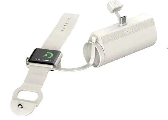 WiWU WI-W026 Capsule C-Type Mobile Power Bank 2-in-1