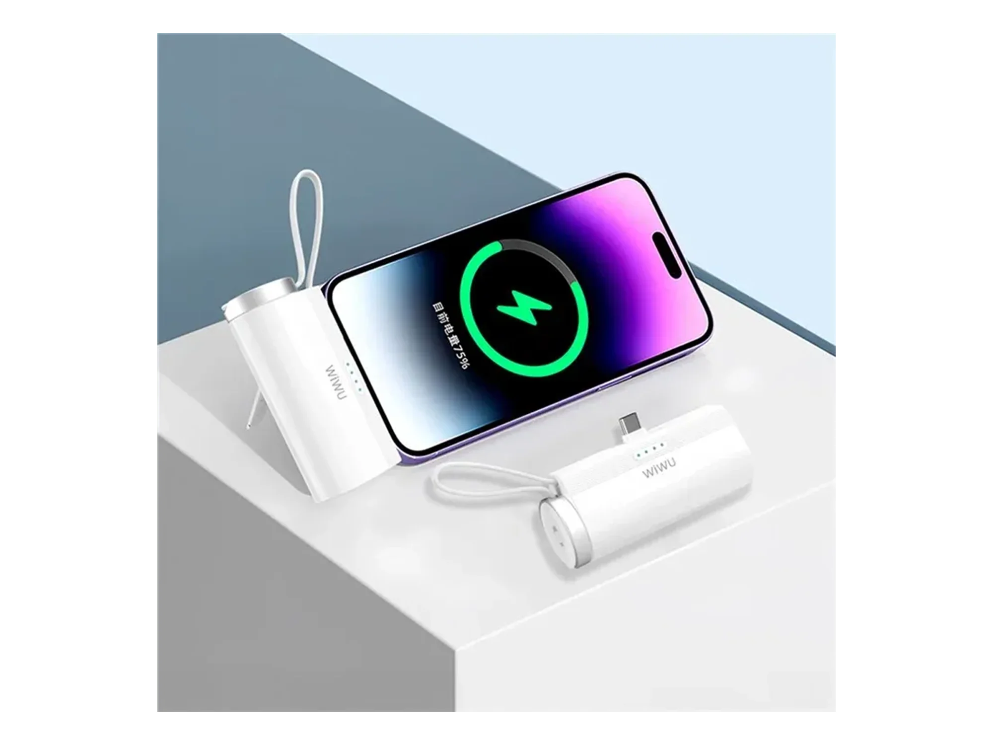 WiWU WI-W026 Capsule C-Type Mobile Power Bank 2-in-1